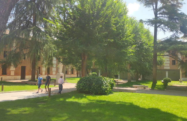 Excursión a Alcalá de Henares - Foto 6