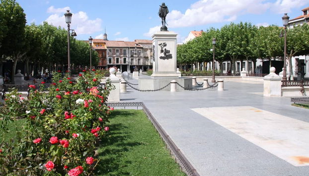 Alcalá de Henares Day Trip - Photo 2