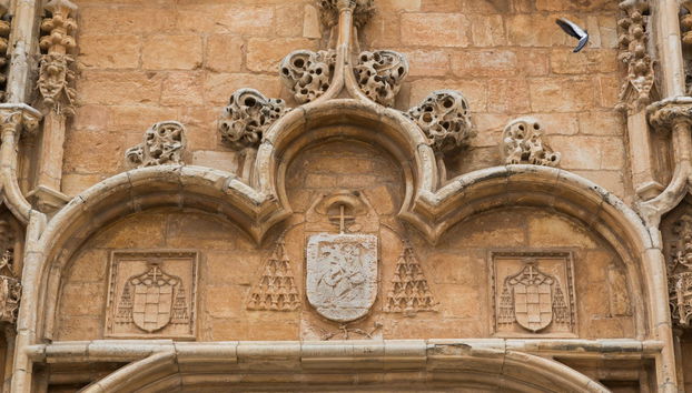 Alcalá de Henares Day Trip - Photo 5