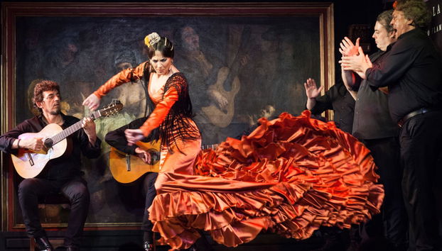 Show flamenco en el Corral de la Morería - Foto 4