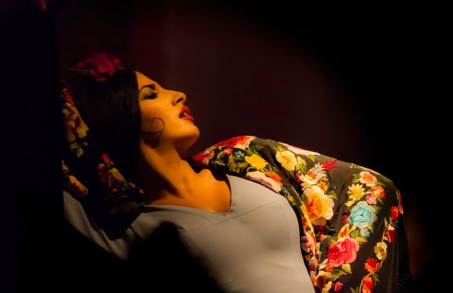 Show flamenco en el Corral de la Morería - Foto 6