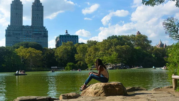 Free tour por Central Park - Foto 3