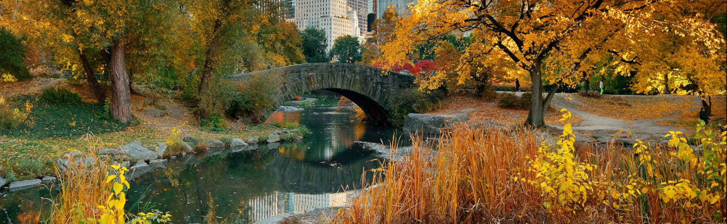 Free tour por Central Park - Foto 1