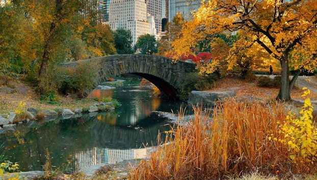 Free tour por Central Park - Foto 5