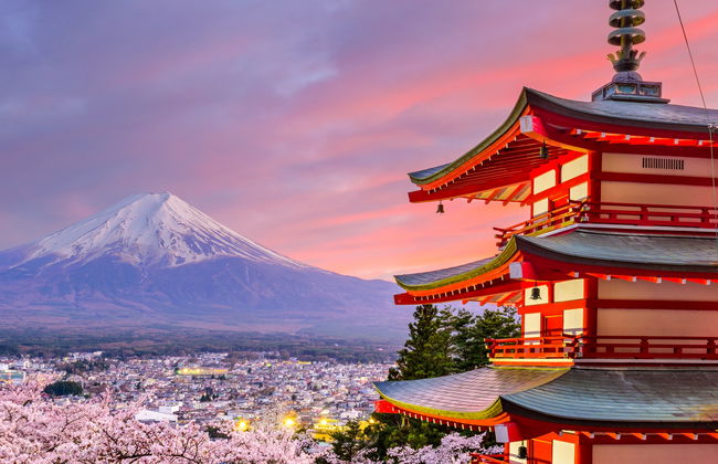 Excursión al monte Fuji, lago Kawaguchi y la pagoda Chureito - Foto 8