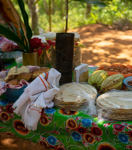 Foto de Tour gastronómico por Cerro Islá
