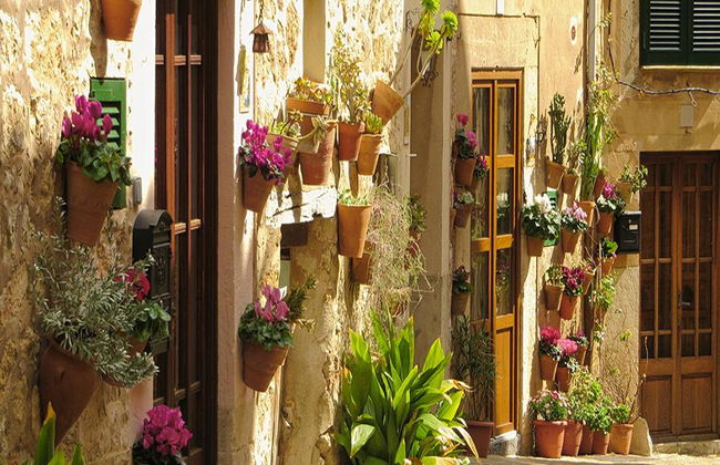 Palma de Mallorca et Valldemossa - Excursion d'une journée - Photo 3