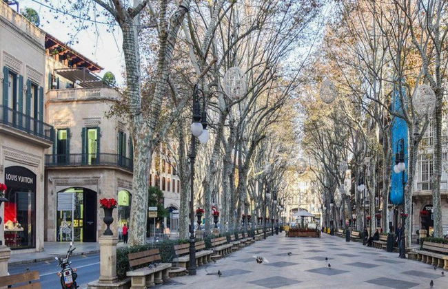 Palma de Mallorca et Valldemossa - Excursion d'une journée - Photo 4