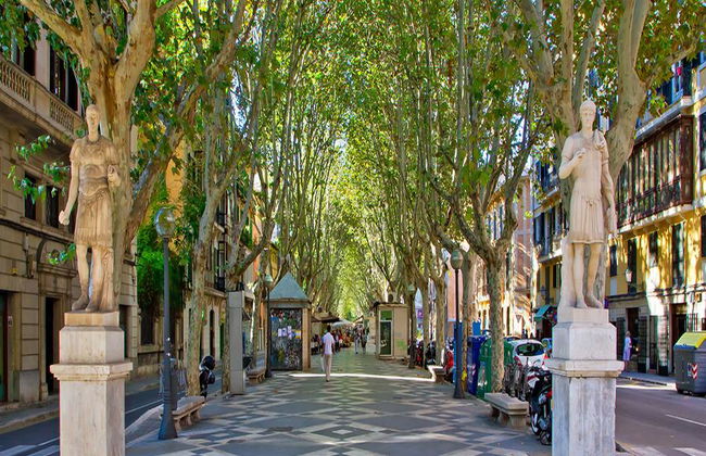 Casco Antiguo de Palma - Tour a pie - Foto 4