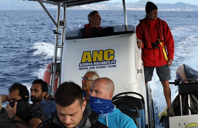 Avvistamento Balene - Tour in Barca - Foto 4
