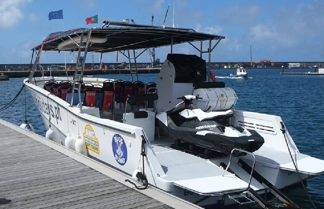Avvistamento Balene - Tour in Barca - Foto 6