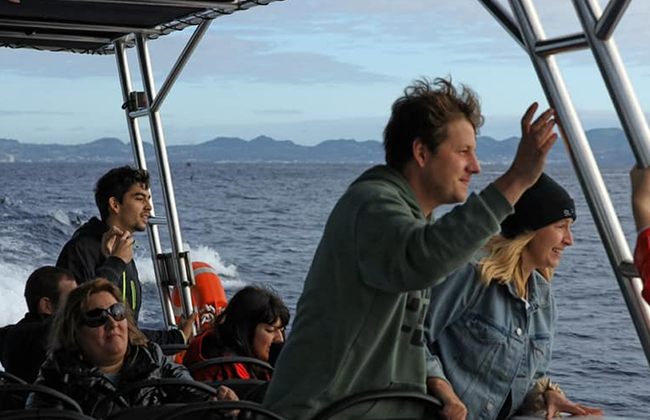 Avvistamento Balene - Tour in Barca - Foto 7