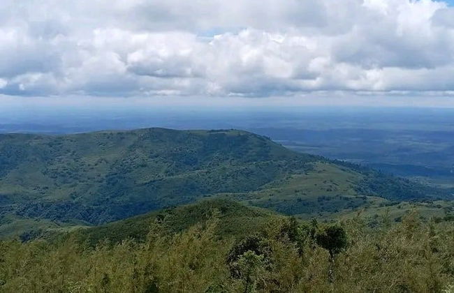 Trekking por el bosque de Kimakia - Foto 3
