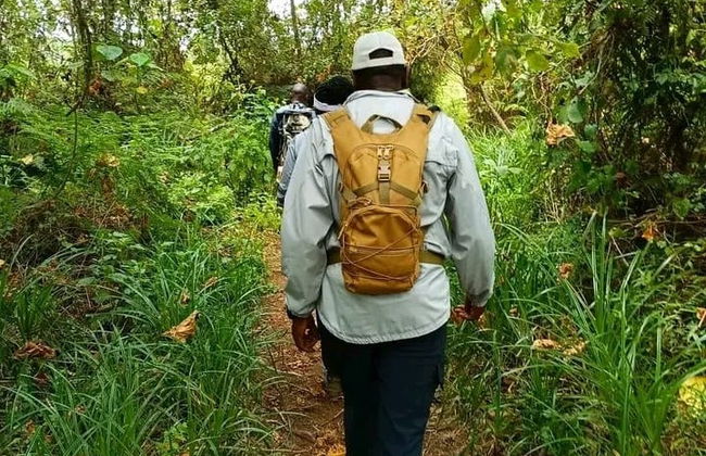 Trekking por el bosque de Kimakia - Foto 5