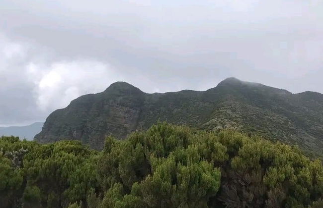 Trekking por el bosque de Kimakia - Foto 4