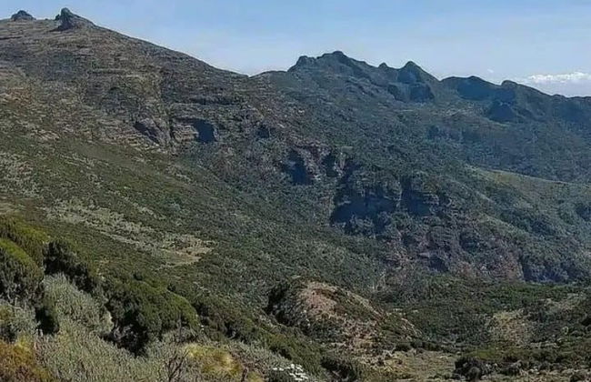 Trekking por el bosque de Kimakia - Foto 6