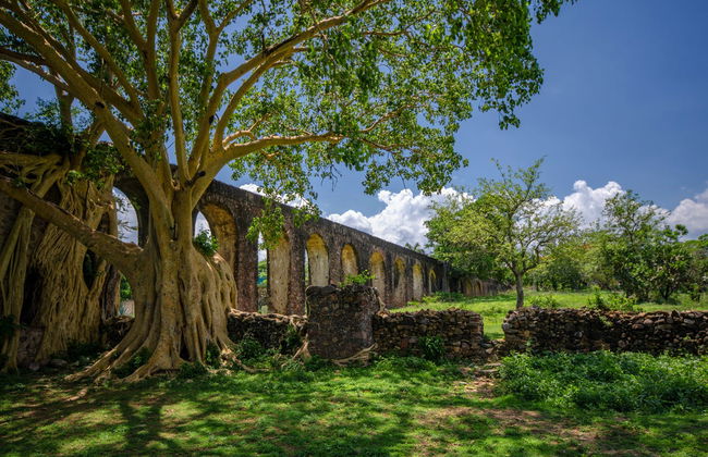 Ex-Hacienda of San Juan Bautista Excursion - Photo 6