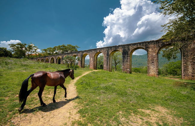 Ex-Hacienda of San Juan Bautista Excursion - Photo 3