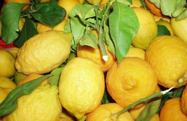 Tour del limón - Foto 2
