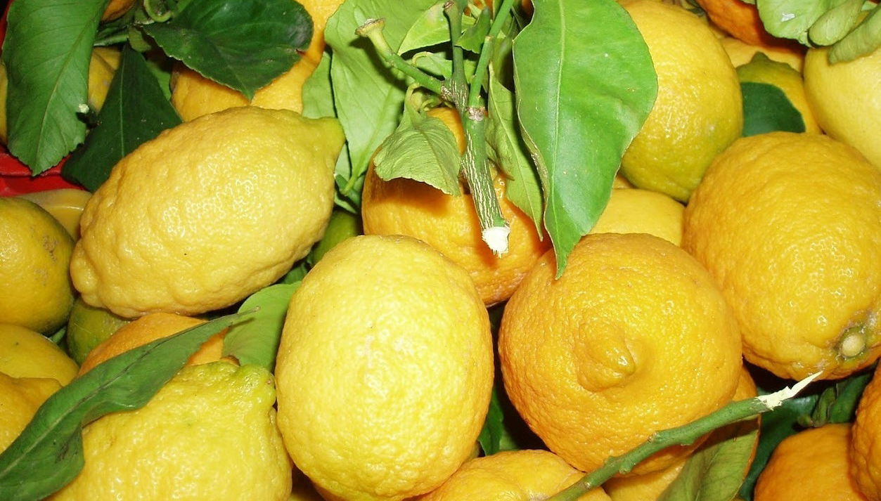 Sorrento Limoncello Tour - Photo 1