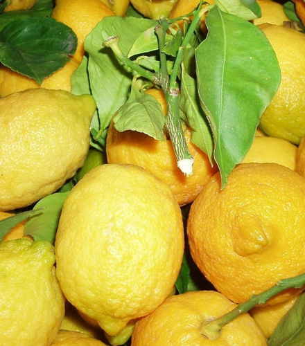 Foto de Tour del limón