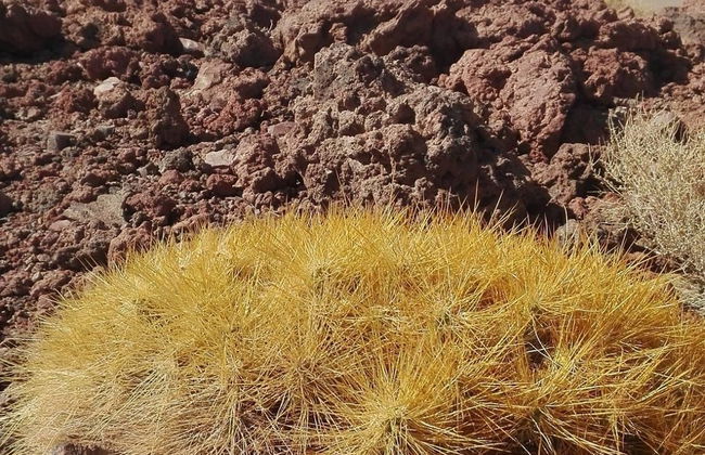Ruta privada de trekking por el volcán Poruña - Foto 3
