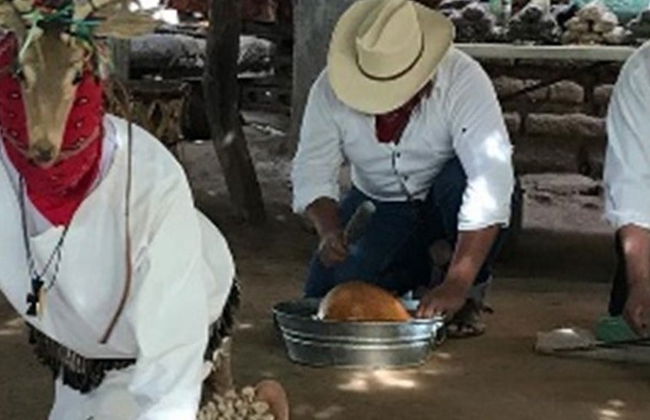 Visite d’une communauté indigène de Mayos-Yoremes - Photo 5