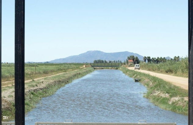 Ebro Delta Bird Watching Tour - Photo 5