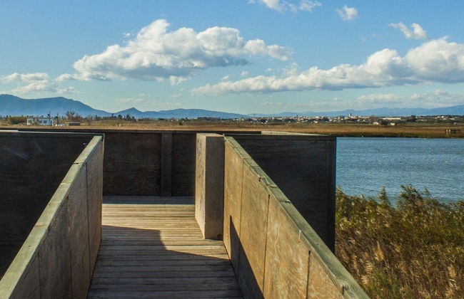 Ebro Delta Bird Watching Tour - Photo 3