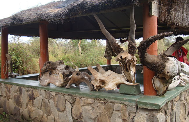 Visit of Nairobi National Park, Carnivore and Bomas of Kenya - Photo 3