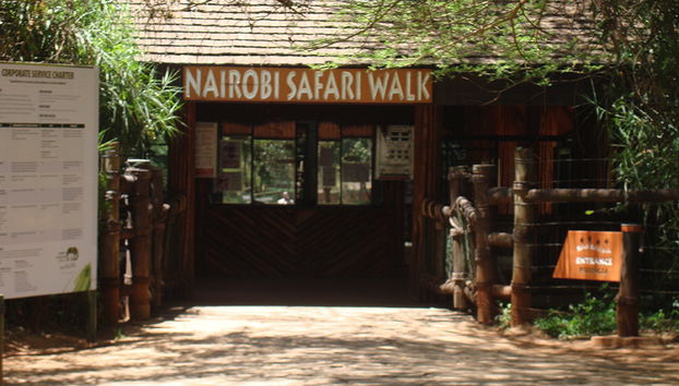 Visit of Nairobi National Park, Carnivore and Bomas of Kenya - Photo 4