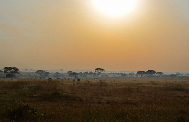 Visit of Nairobi National Park, Carnivore and Bomas of Kenya - Photo 1