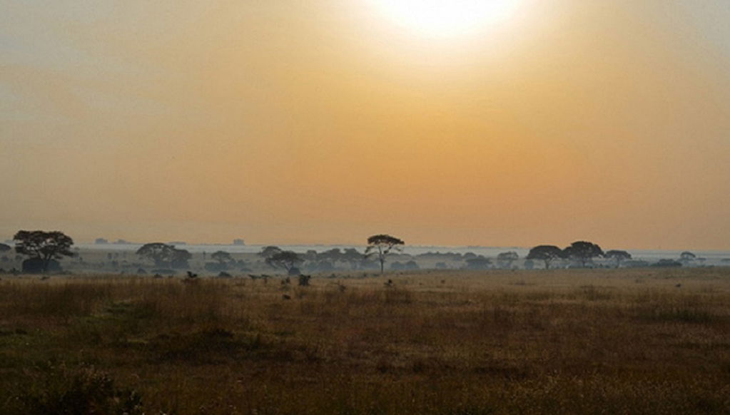 Visit of Nairobi National Park, Carnivore and Bomas of Kenya - Photo 1