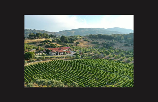 Excursión privada a Éfeso + Cata de vinos - Foto 3