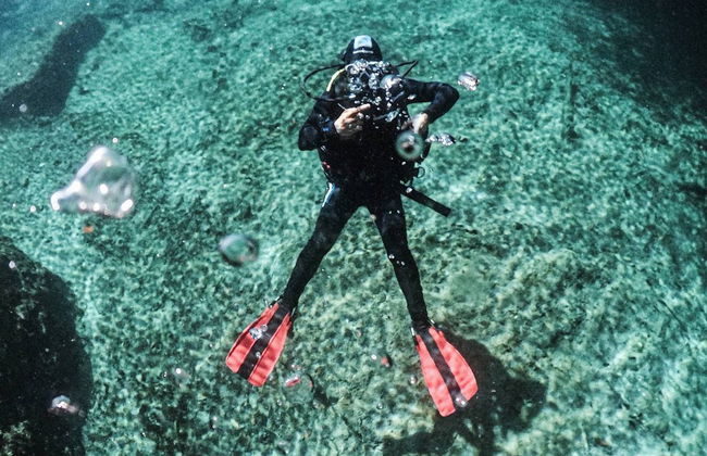 Bautismo de buceo en Tulum - Foto 1