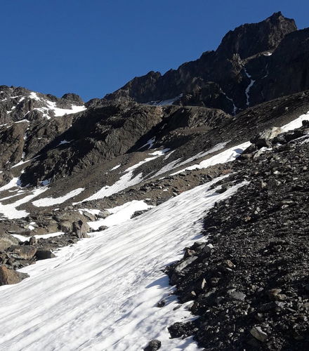Foto de Trekking por el glaciar Martial