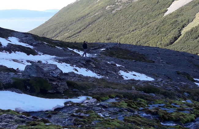 Trekking por el glaciar Martial - Foto 8