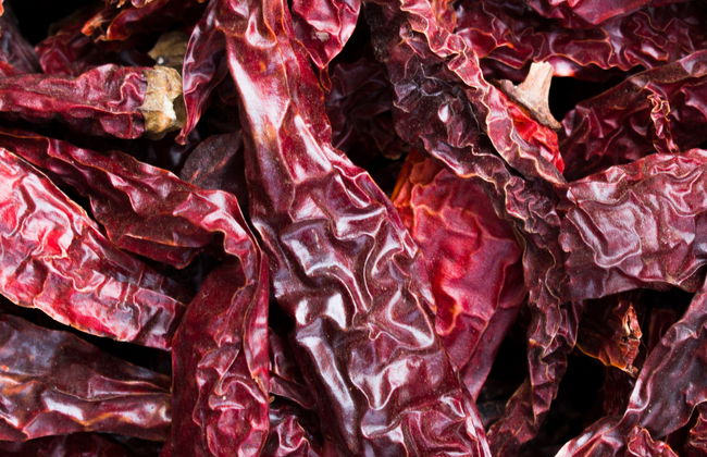 Yucatecan Cooking Class Mérida - Foto 8