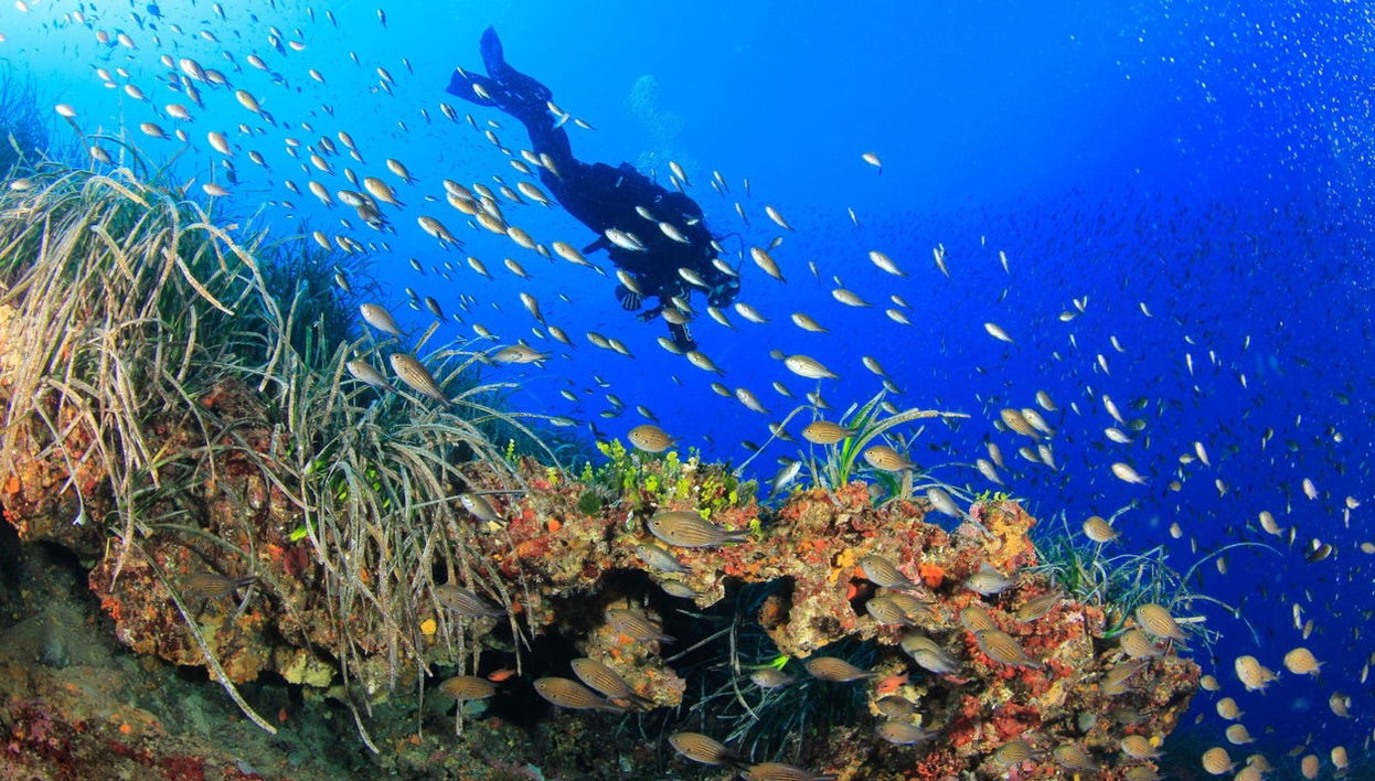 Bautismo de buceo en Bosa - Foto 1