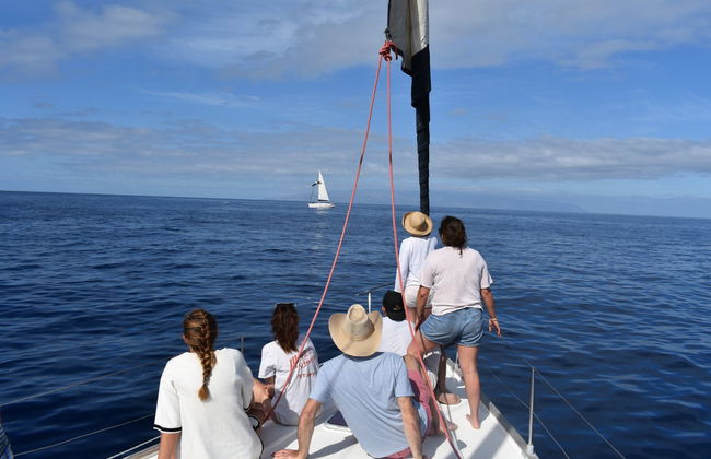 Paseo en velero por Los Gigantes - Foto 2