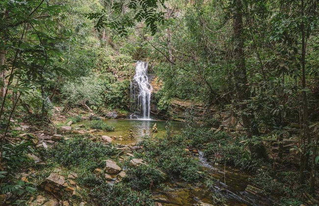 Randonnée aux cascades Bonsucesso - Photo 5