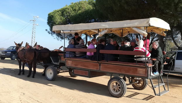 Balade en calèche dans Doñana et El Rocío - Photo 2