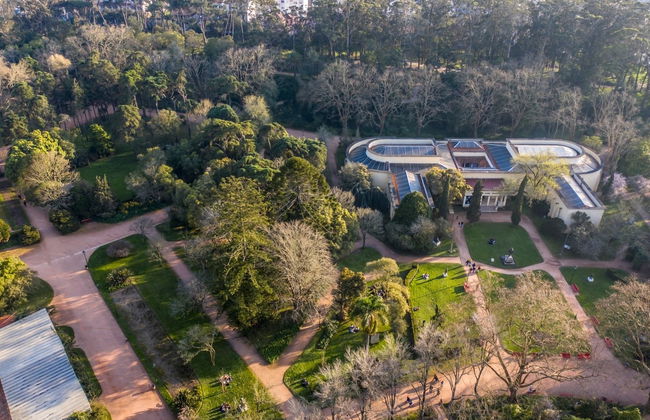 Caldas da Rainha Guided Tour - Photo 7