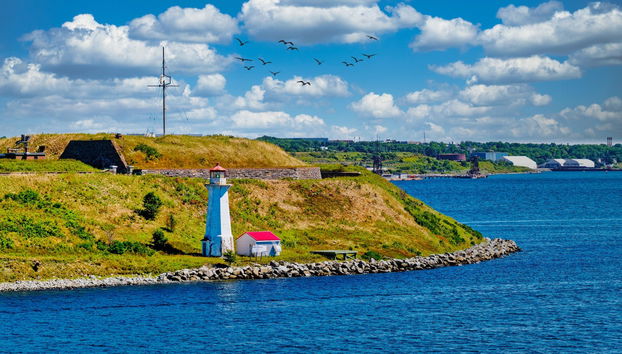Tour di Halifax in autobus anfibio - Foto 5