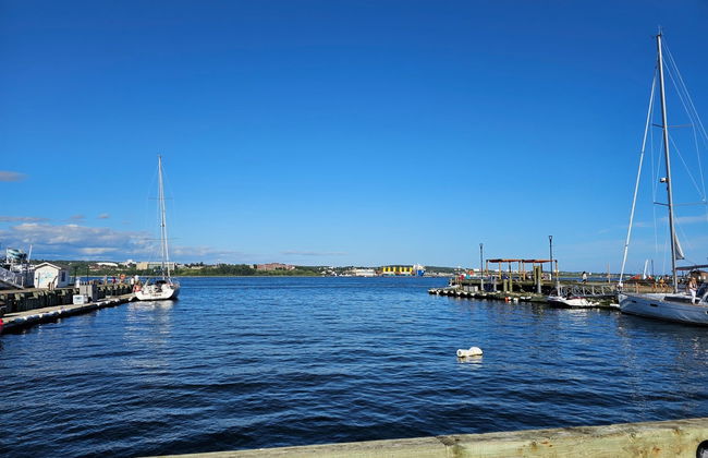 Tour di Halifax in autobus anfibio - Foto 1
