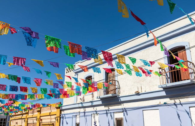 Escursione alla spiaggia Balandra e Todos Santos - Foto 6
