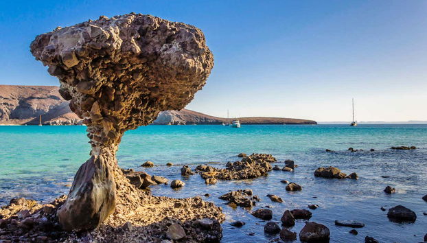 Escursione alla spiaggia Balandra e Todos Santos - Foto 3