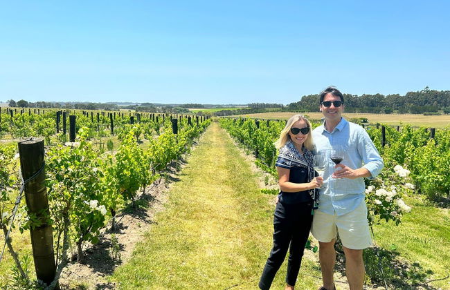 Tour privado de viñedos y bodegas - Foto 2