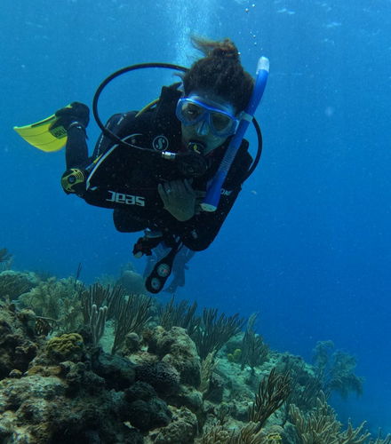 Foto de Curso de buceo PADI Open Water en San Andrés