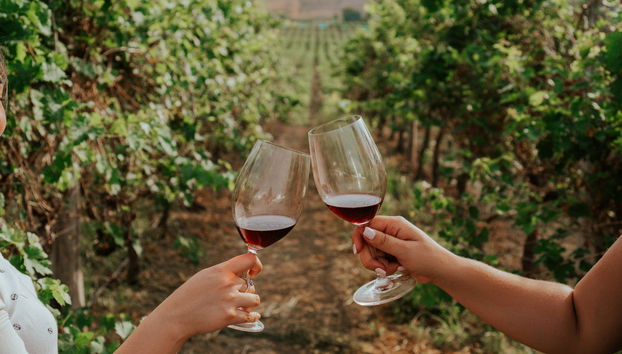 Dos Hemisferios Winery Tour - Photo 2